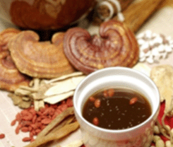 ��֥��ʳ��